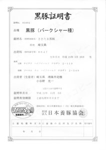黒豚証明書 小谷野精肉店